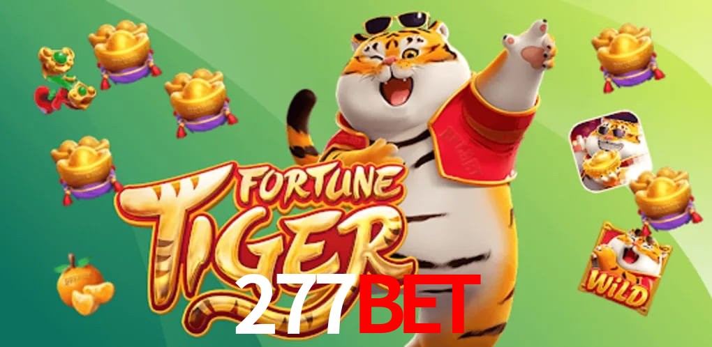 Game Statistics 277bet